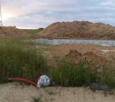 Vide sanitaire en cours