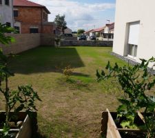 Vue sur le jardin après engazonnement. Faut que ça pousse !