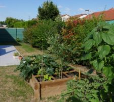 Carrés potager