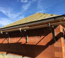 Gouttière en zinc teinté noir