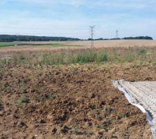 Bornage de la maison