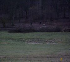 Nettoyage de la lisi&egrave;re