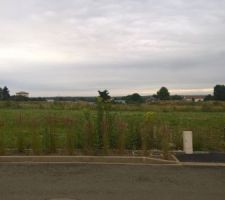 Vu sur l'avant de la maison