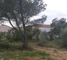 Terrain en long, &agrave; la limite du chemin en terre grosso modo jusqu'au v&eacute;g&eacute;tations au fond.