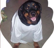 Xena