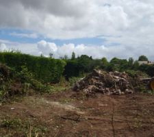 Nettoyage du terrain !