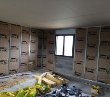 Début doublage murs