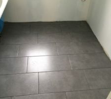 Carrelage salle de bain