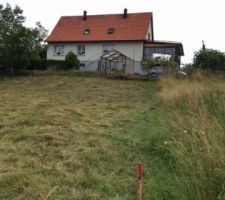 D&eacute;broussaillage du terrain avant implantation...