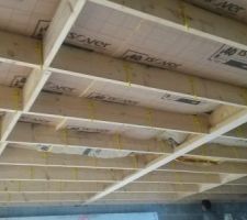 Isolation plafond avec pose des suspentes  ( en jaunes )