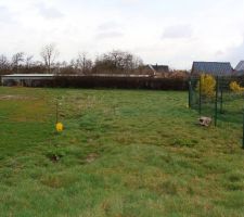 Notre terrain vu de l'all&eacute;e