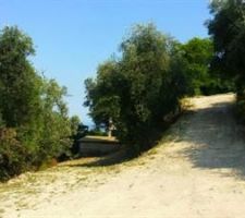 Planche intermediaire et chemin acces planche du bas