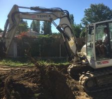Arbre &agrave; d&eacute;soucher futur emplacement du garage