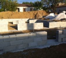 D&eacute;but vide-sanitaire