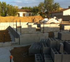 D&eacute;but vide-sanitaire