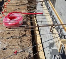 Montage des murs de la fosse en blocs à bancher - Mise en place du ferraillage vertical avec les attentes pour se repiquer dans le treillis de la dalle du garage