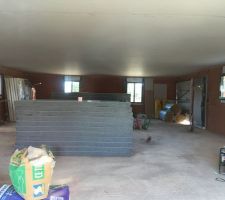 Fin pose du plafond