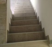 Carrelage escalier
