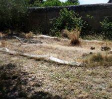 Nous avons d&eacute;mont&eacute; la serre