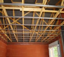 Premiers rails posé, on voit dépasser une patte de la bête :p