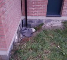 Grille d'évaluation vide sanitaire posée