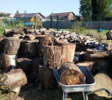 Avancement rangement arbre abbatu