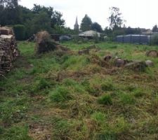 Débitage des tronc abbattu