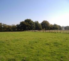 Notre terrain en pleine campagne
