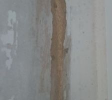 On voit bien que la moisissure a attaqué les couches inférieures de l'isolation, pourtant le plâtrier qui est venu "réparer les dégâts" a juste poncé et ré enduit le mur