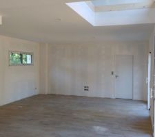 Peinture commenc&eacute;