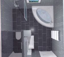 Projet d"am&eacute;nagement WC et SDB vue de dessus