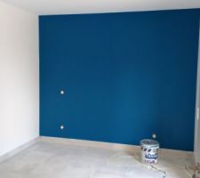 Bleu je ne sais plus :-)