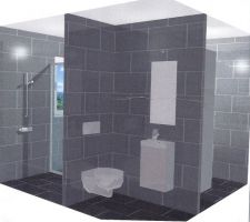 Vue en 3D du projet d'implantation du WC