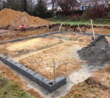 Vide sanitaire en cours