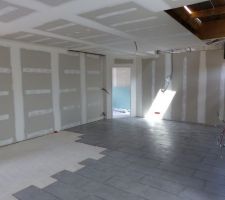 Carrelage Pièce de Vie