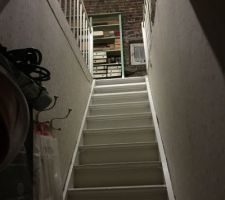 Cage d'escalier vers le grenier avant que la maison ne soit vidée.
Cette pièce va être transformée en une suite parentale avec chambre, sdb et dressing