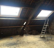 Les deux velux de la suite parentale