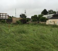 Voici le terrain à peine borné!