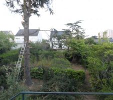 Jardin avec abattage d'un sapin de 15 mètres (extension oblige)