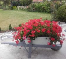 Une deuxième vie pour la brouette de ma grand mère.....Pas si utile qu'elle ne l'a été auparavant !!!