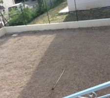 Alors que le jardin été prêt à être ensemencé..je fait des tentatives de positionnement de piscine :)