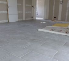 Carrelage pièce de vie