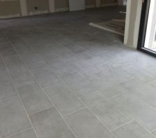 Carrelage pièce de vie