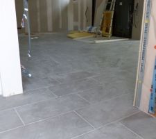 Carrelage pièce de vie