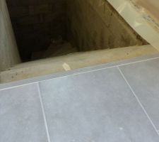 Carrelage pièce de vie