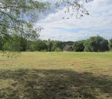 Terrain apr&egrave;s implantation et avant terrassement.