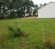 Voici mon petit terrain.
Superficie 491m2