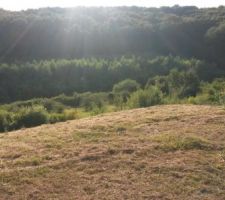 Vue sur la vall&eacute;e