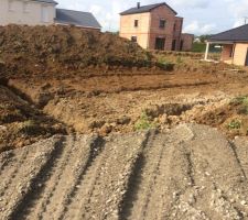 Premiers coups de pelleteuse