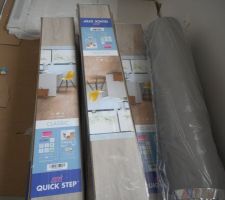 Parquet Quick step